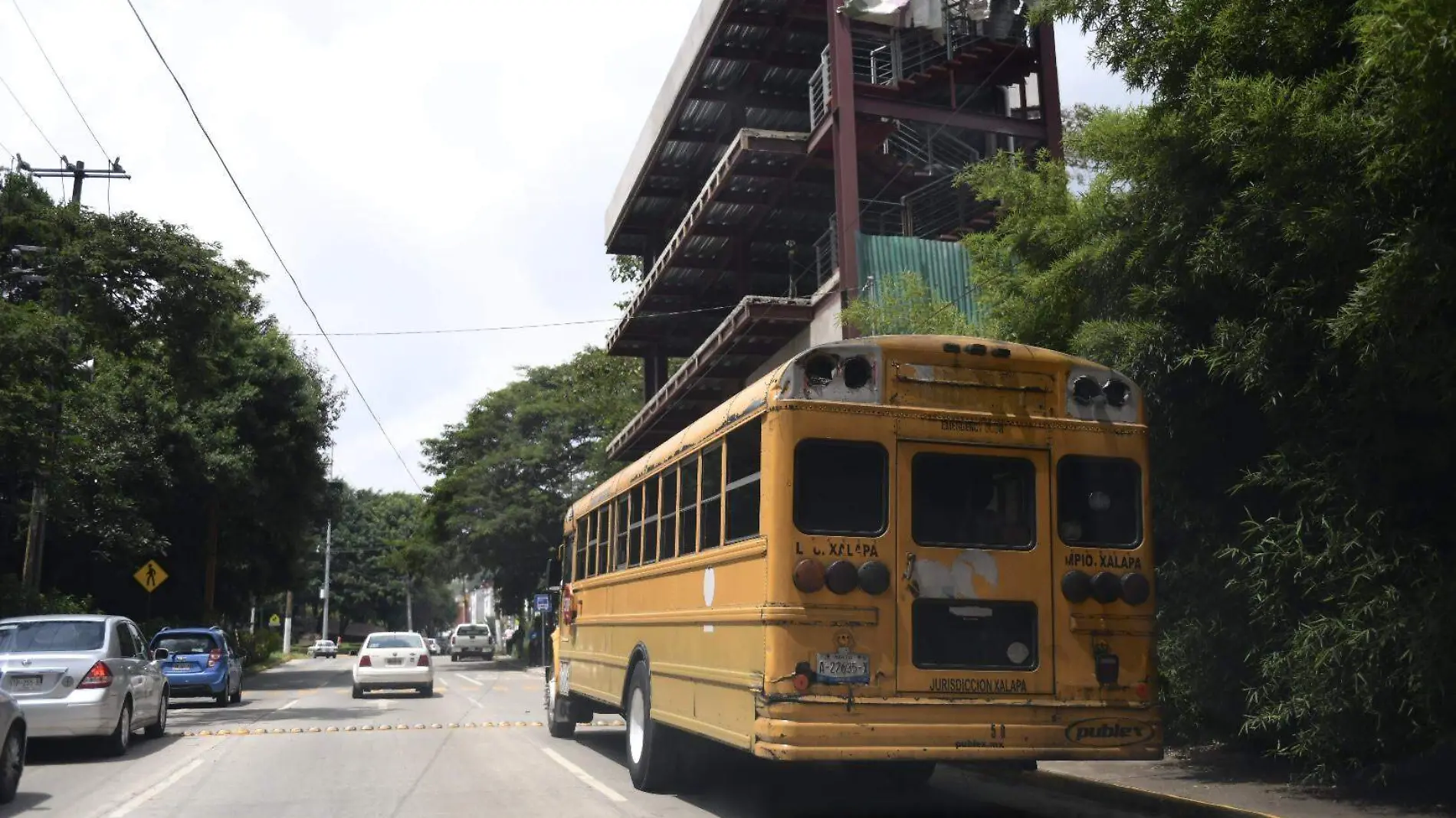 Transporte público | Camiones | Servicio urbano